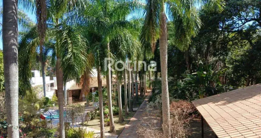 Casa para alugar, 4 quartos, mansões aeroporto - uberlândia/mg - rotina imobiliária