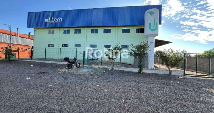 Galpão para alugar, Distrito Industrial - Uberlândia/MG - Rotina Imobiliária