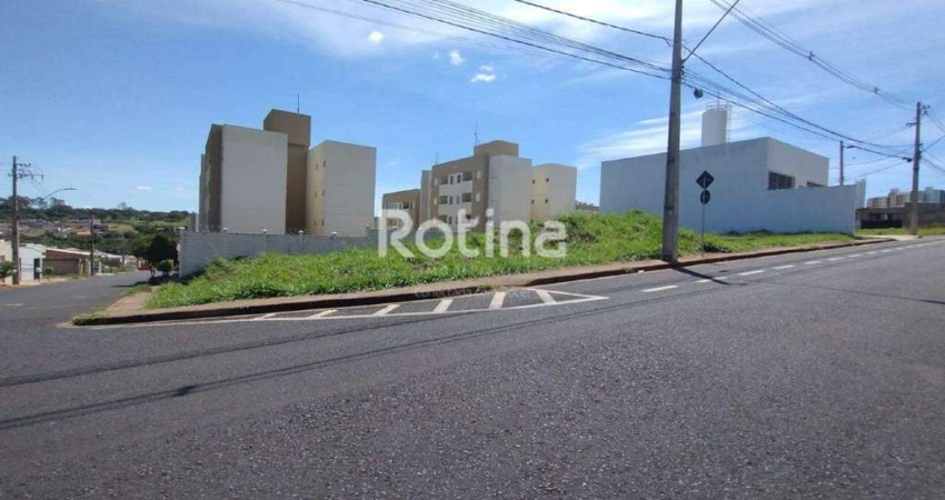 Terreno para alugar, Shopping Park - Uberlândia/MG - Rotina Imobiliária
