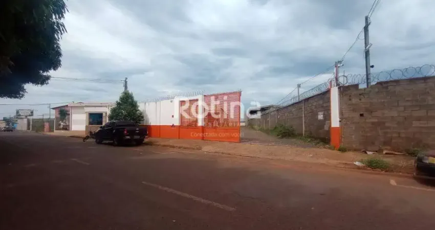 Galpão para alugar, Segismundo Pereira - Uberlândia/MG - Rotina Imobiliária