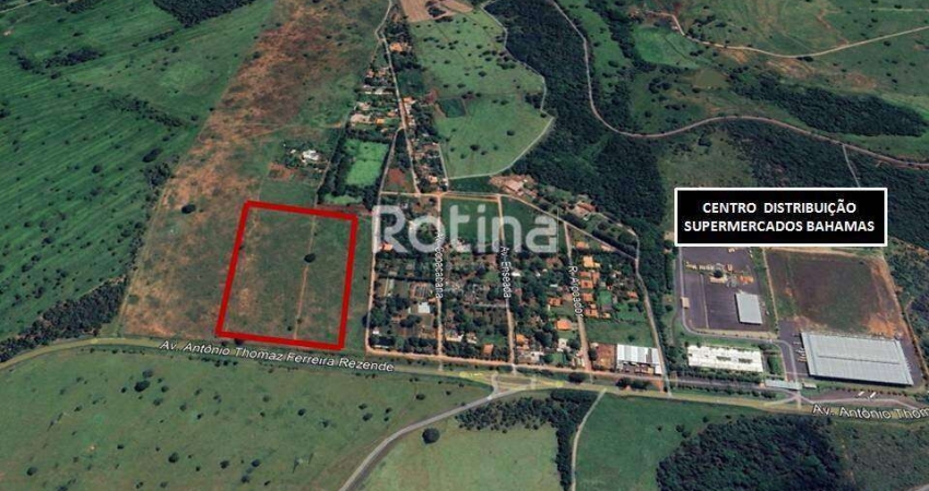 Área para alugar, Distrito Industrial - Uberlândia/MG - Rotina Imobiliária