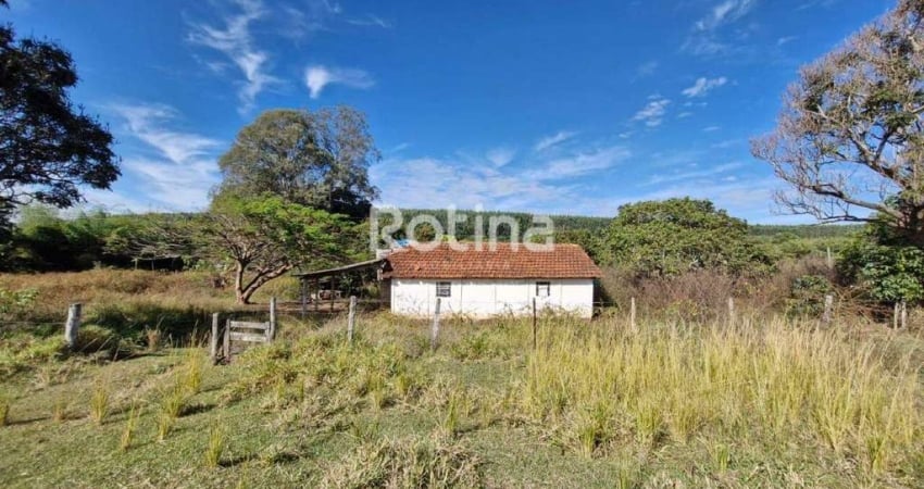 Fazenda para alugar, 2 quartos, Morada do Sol - Uberlândia/MG - Rotina Imobiliária