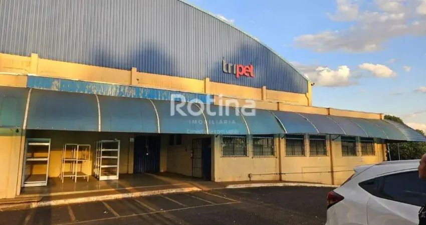 Galpão para alugar, distrito industrial - uberlândia/mg - rotina imobiliária