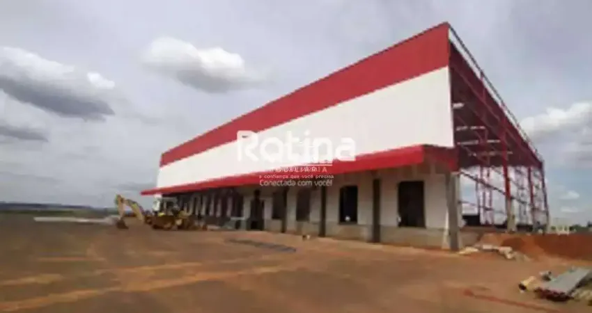 Galpão para alugar, distrito industrial - uberlândia/mg - rotina imobiliária