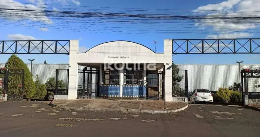 Apartamento para alugar, 3 quartos, presidente roosevelt - uberlândia/mg - rotina imobiliária