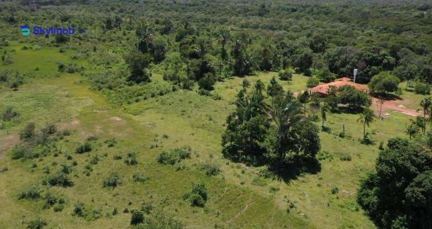 Fazenda de 1.081,5 ha à venda - Zona Rural - Cuiabá/MT