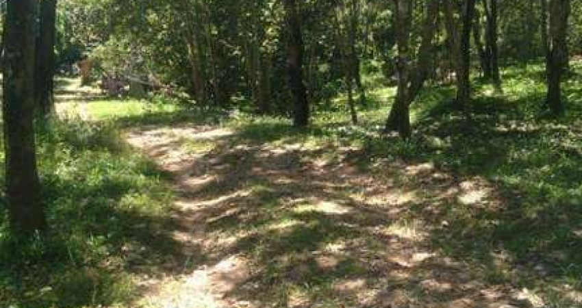 Chácara com 1 dormitório à venda, 15000 m² por R$ 300.000,00 - Zona Rural - Cuiabá/MT