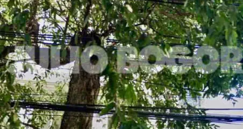 Casa com 2 quartos à venda na Rua Henrique Morize, Grajaú, Rio de Janeiro