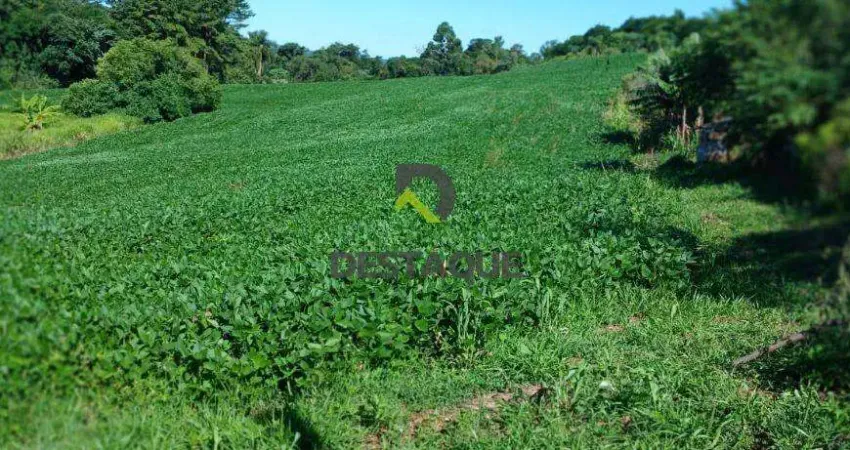 Chácara / sítio à venda em Zona Rural, Cascavel 