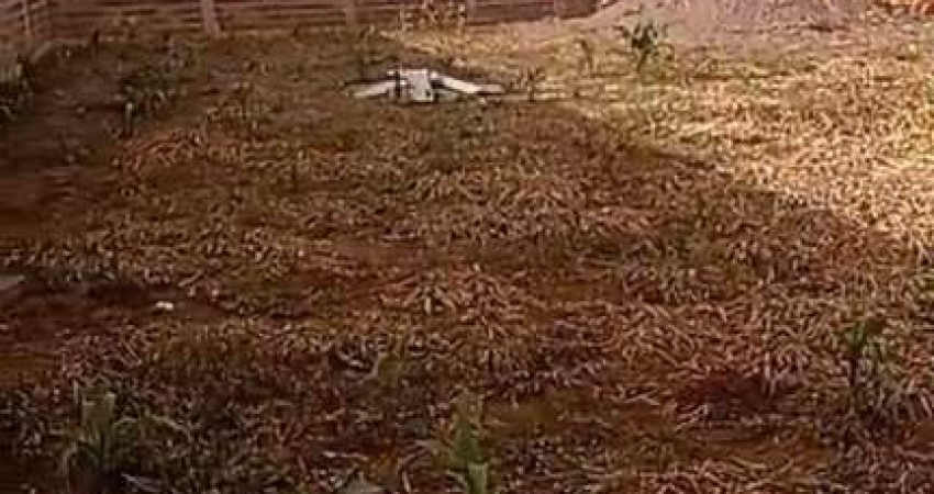 Terreno à venda na Avenida Walder de Gois, Zona Rural, Aragoiânia