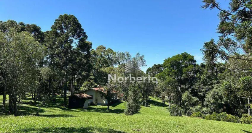 Chácara à venda, 6000 m² por r$ 1.400.000,00 - salgadinho - campo largo/pr