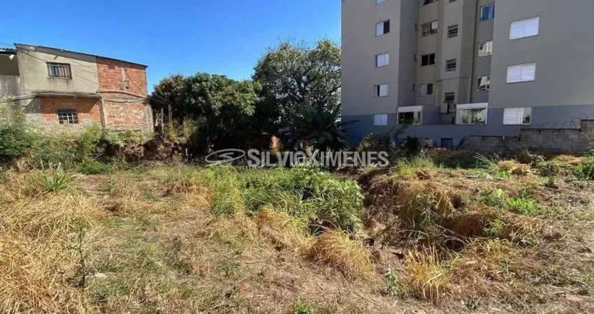 Terreno à venda na Rua Horizonte, Paraíso, Belo Horizonte