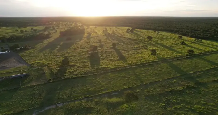 Linda fazenda formada com páscoa e eucalipto em presidente venceslau,  sp