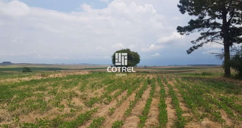Terreno comercial à venda na 200, 200, Área Rural de São Gabriel, São Gabriel