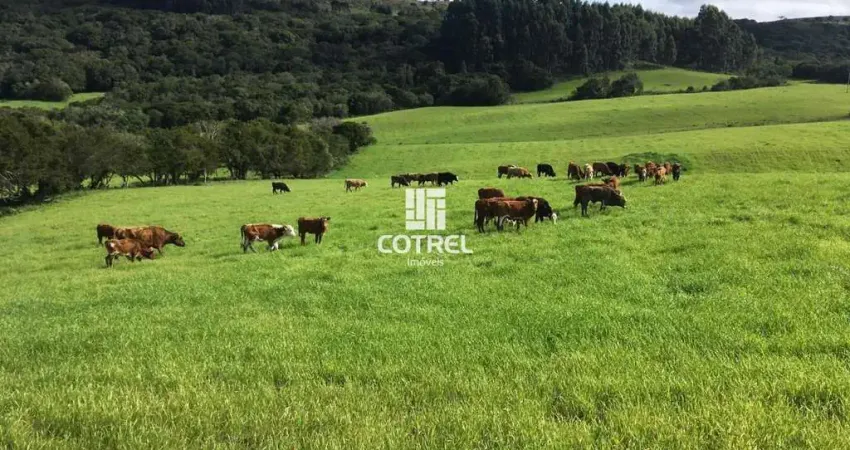 Fazenda com 609 hectares para pecuária em Santana da Boa Vista/RS