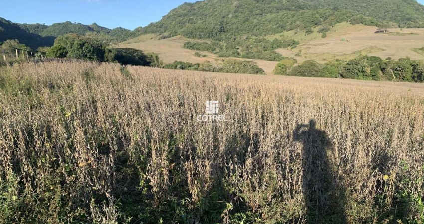 Terreno comercial à venda na 176, 176, Zona Rural, São Pedro do Sul