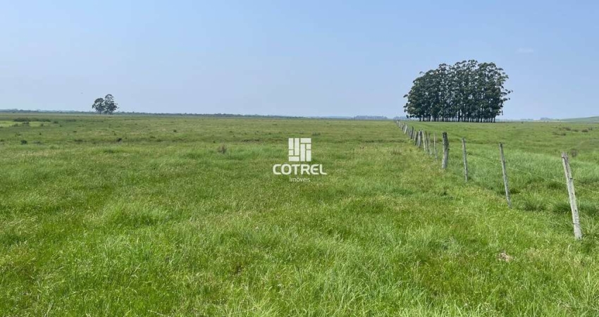 Fazenda para venda com 217 ha localizada na cidade de Sant'Ana do Livramento/RS.