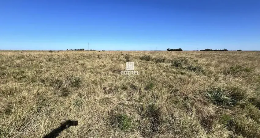 Fazenda à venda na BR 290, 1, Área Rural de Alegrete, Alegrete
