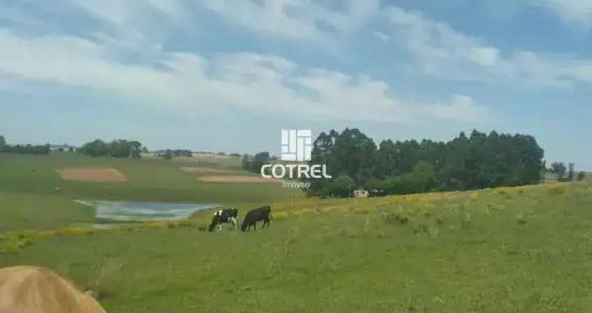 Chácara / sítio com 1 quarto à venda na Vista Alegre, 0000, Área Rural de São Gabriel, São Gabriel