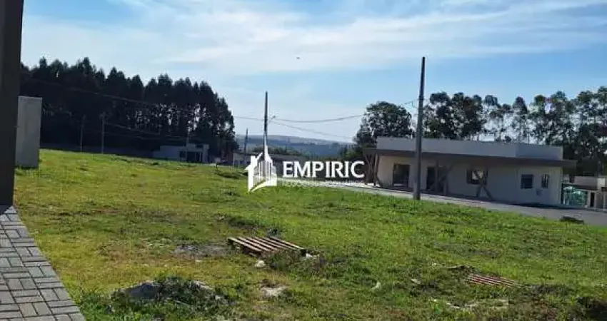 Terreno à venda na Rua Demétrio Batista, 301, Colônia Dona LuÍza, Ponta Grossa