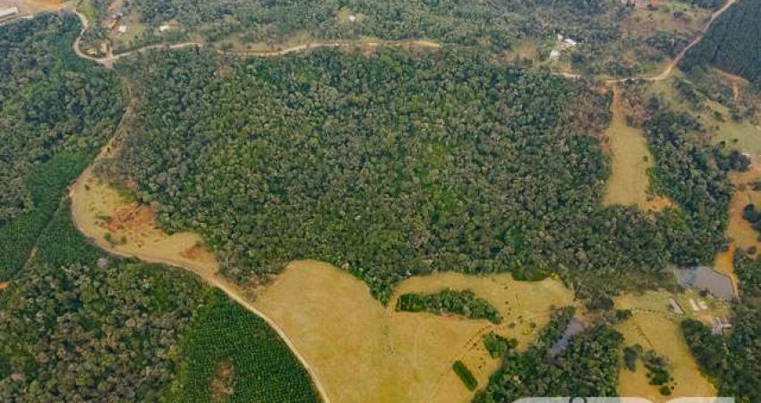 Chácara / sítio com 3 quartos à venda na Estrada Municipal Laranjeiras, Bateias de Baixo, Campo Alegre