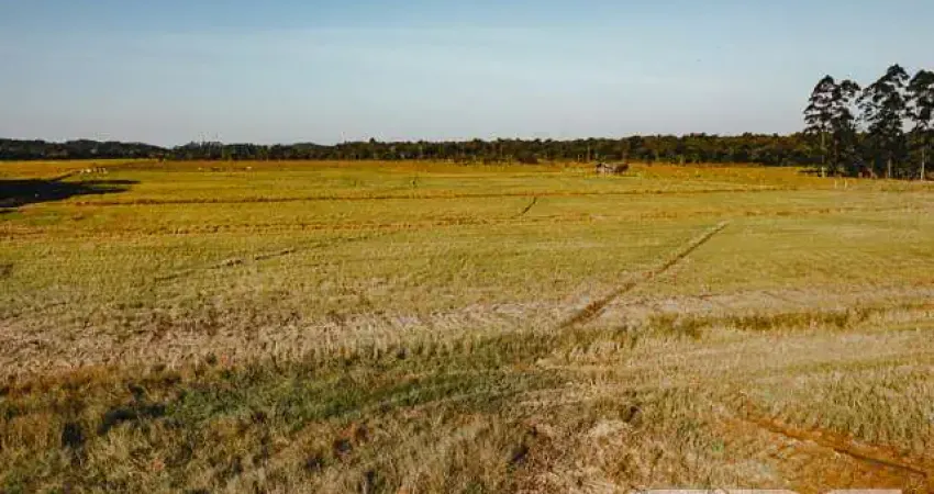 Terreno à venda na Rua Quinze de Novembro, 14588, Vila Nova, Joinville