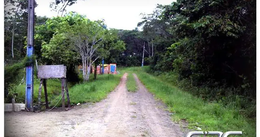 Terreno à venda na Nereu Ramos, Salinas, Balneário Barra do Sul