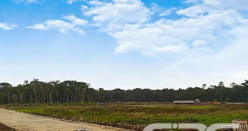 Terreno à venda na Rua Lagoa, Praia do Ervino, São Francisco do Sul