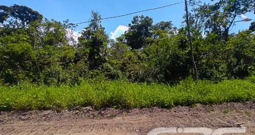 Terreno à venda na Rua Copenhagen, Praia do Ervino, São Francisco do Sul