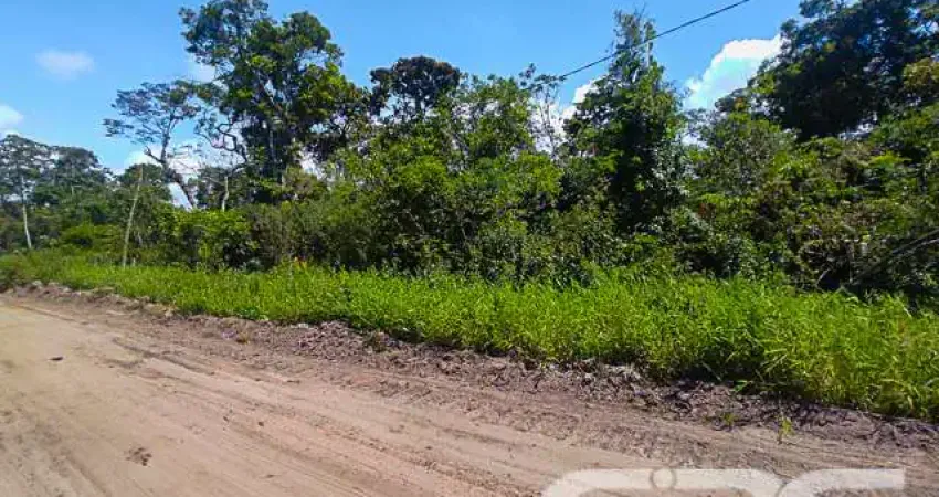 Terreno à venda na Rua Copenhagen, Praia do Ervino, São Francisco do Sul