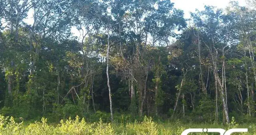 Terreno à venda na Rua Campo Verde, Gamboa, São Francisco do Sul