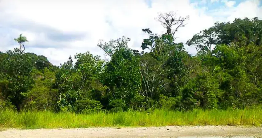 Chácara / sítio à venda na Perequê, Pinheiros, Balneário Barra do Sul