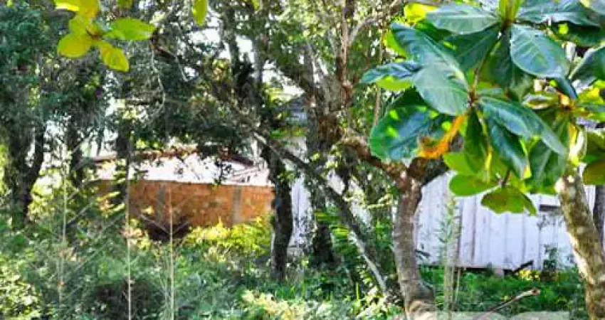 Terreno à venda na Perequê, 491, Pinheiros, Balneário Barra do Sul