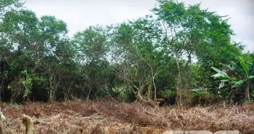 Terreno à venda na Perequê, 17, Pinheiros, Balneário Barra do Sul