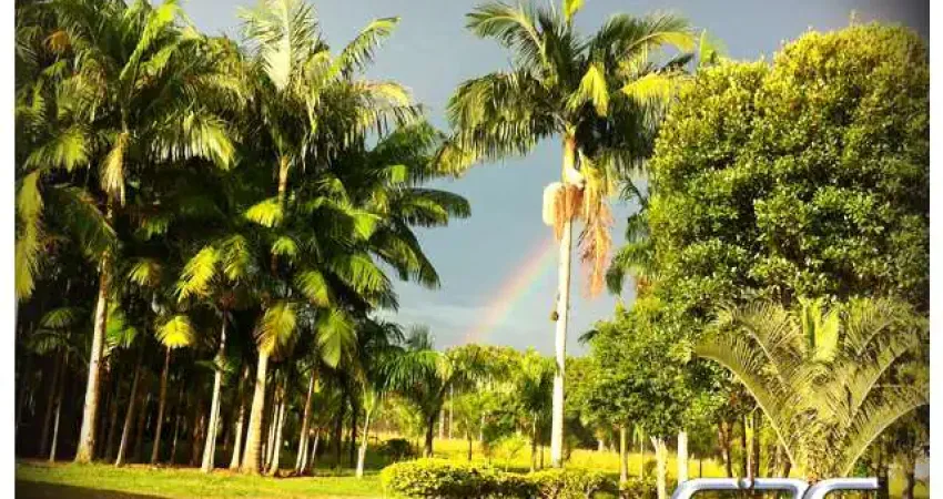 Chácara / sítio com 5 quartos à venda na Estrada Caminho Curto, Rio Bonito (Pirabeiraba), Joinville
