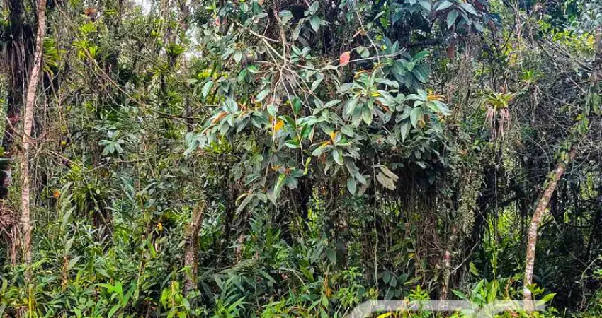 Terreno à venda na Areais, Conquista, Balneário Barra do Sul
