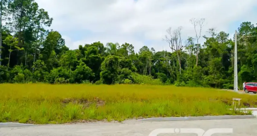 Terreno à venda na Rua Celestino Estácio Da Maia, Volta Redonda, Araquari