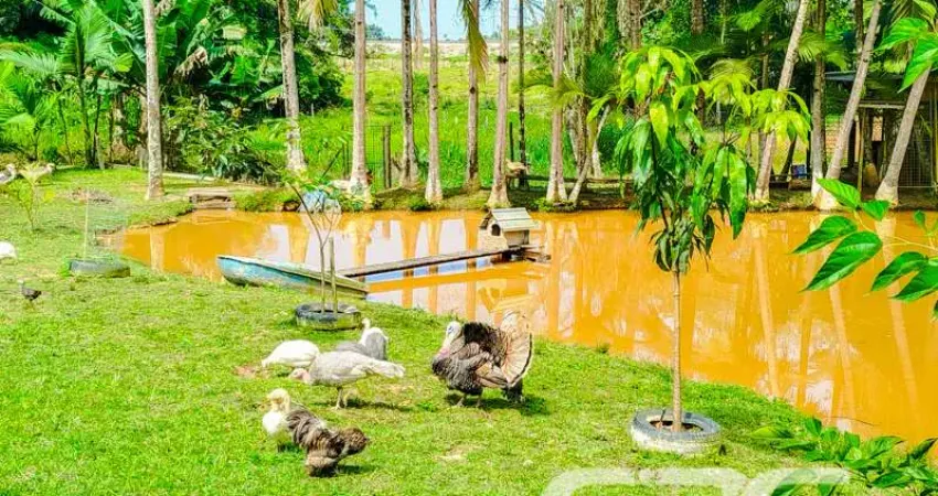 Chácara / sítio com 3 quartos à venda na Rua Vitor Aguiar, 333, Escalvado, Barra Velha