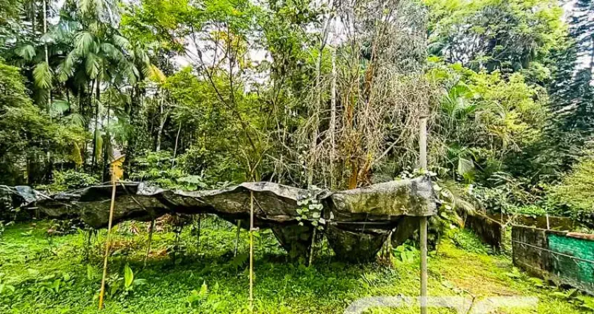 Casa com 4 quartos à venda na Rua Ministro Calógeras, 88, Atiradores, Joinville