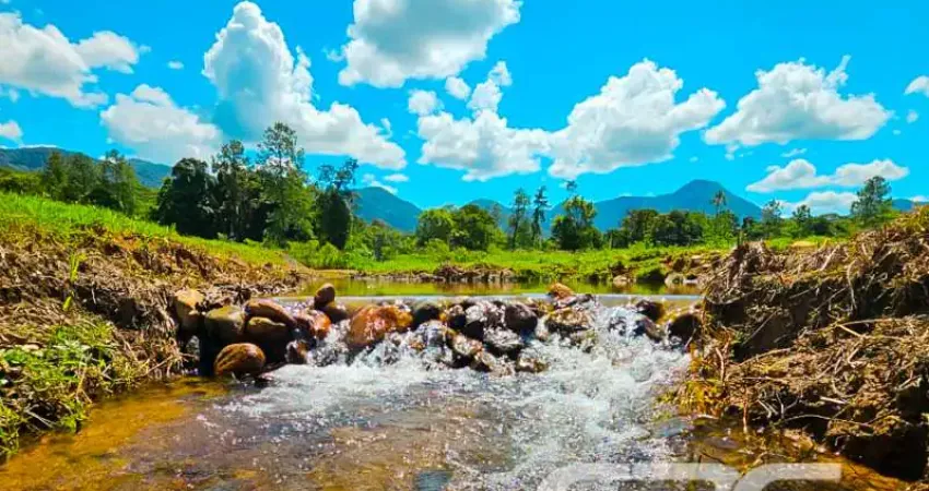 Chácara / sítio com 3 quartos à venda na Rua Quinze de Novembro, 1, Vila Nova, Joinville