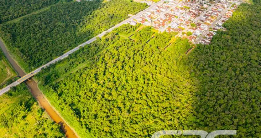 Terreno à venda na Rua Minas Gerais, Nova Brasília, Joinville