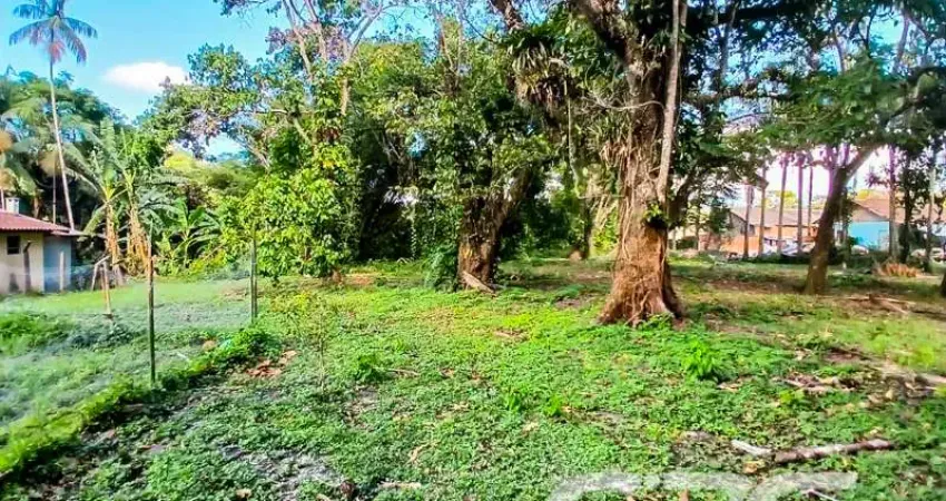 Terreno à venda na Rua Rod. Duque De Caxias, Iperoba, São Francisco do Sul