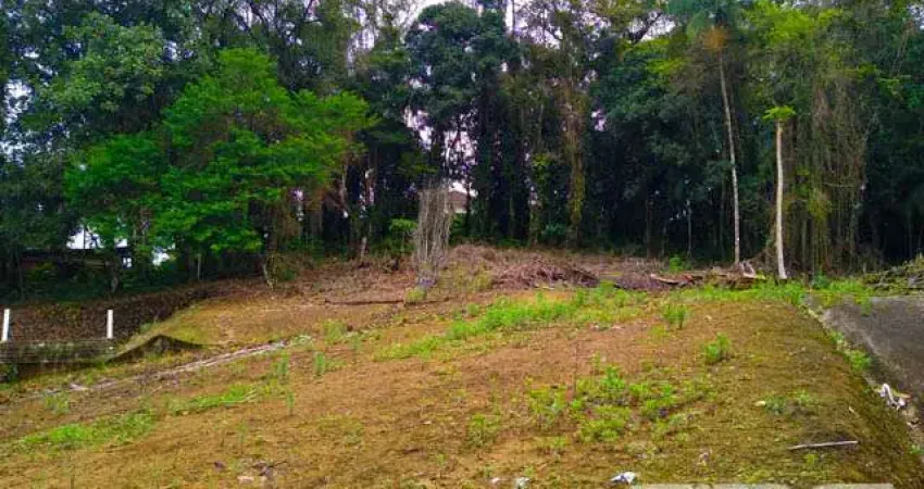 Terreno à venda na Rua Tenente Antônio João, 300, Bom Retiro, Joinville