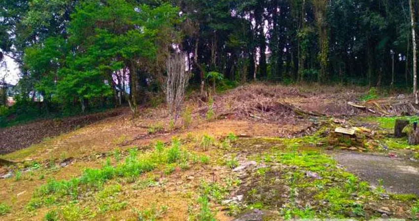 Terreno à venda na Rua Tenente Antônio João, 300, Bom Retiro, Joinville