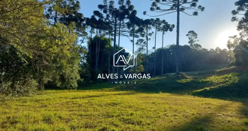 Terreno em condomínio fechado à venda na Rua Araruna, 58, Vila Conceição, Campo Largo