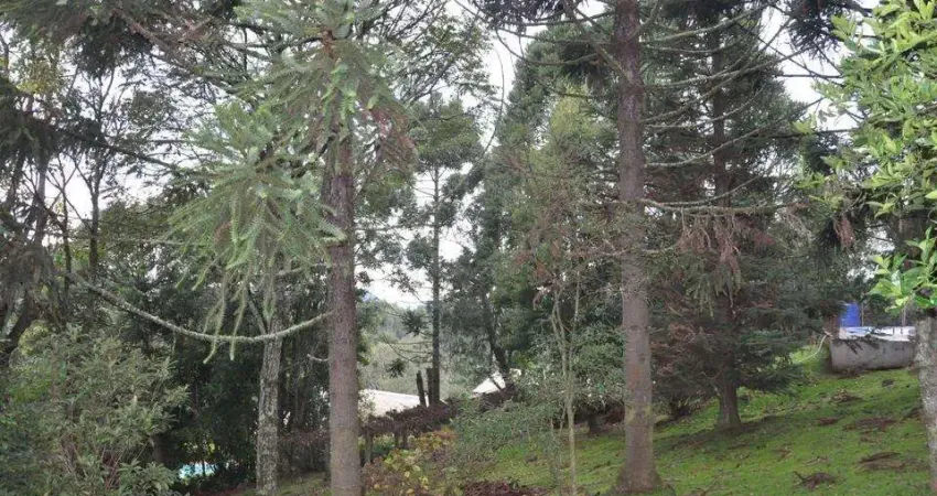 Terreno à venda na ESTRADA MUNICIPAL DO QUILOMBO, Várzea Grande, Gramado