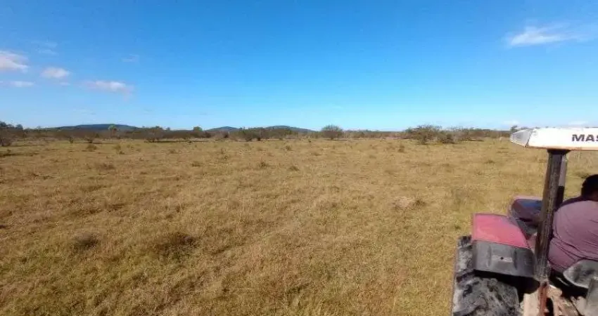FAZENDA no bairro Lami em PORTO ALEGRE