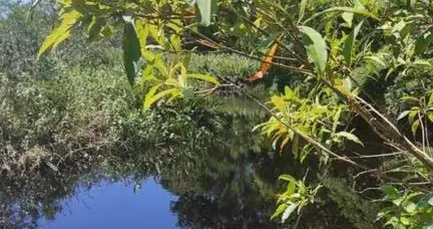 Chácara / sítio com 5 quartos à venda na Zona Rural, Guaratuba