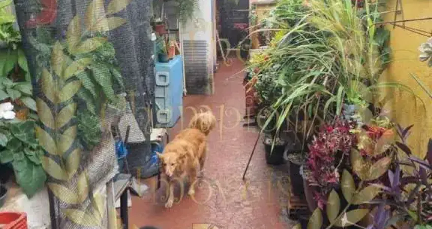 Casa com 2 quartos à venda na Rua Amambaí, 1192, Vila Maria, São Paulo