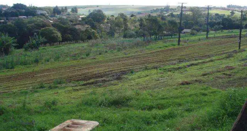 Chácara / sítio à venda no Cilo 3, Londrina 